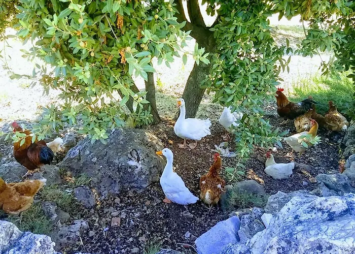 Feriehus The Ultimate Escape - Traditional & Private Pool *